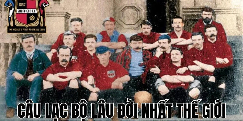 Những Bàn Thắng Đẹp Nhất Năm Từ Trước Đến Nay